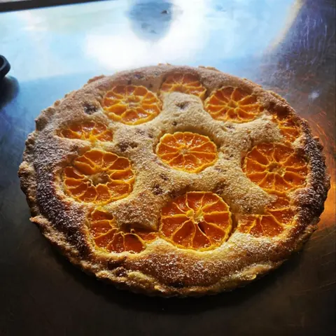 Citrus tart with whole mandarin halves set in almond sponge, on the steel bench in bright window light