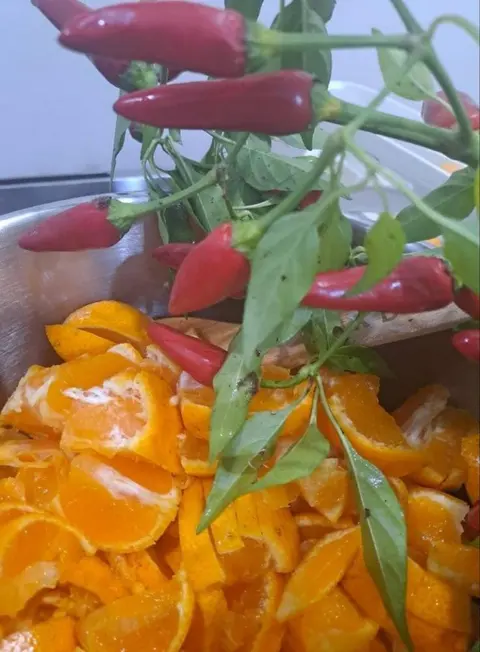 Fresh red chillies on the stem over a pot of cut mandarins, preserve making in the kitchen
