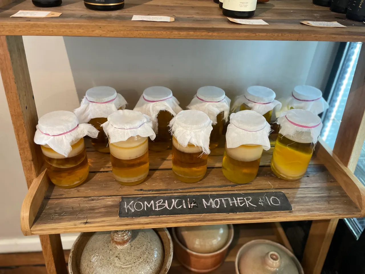 A jar with a chalk label reading Kombucha mother $10.